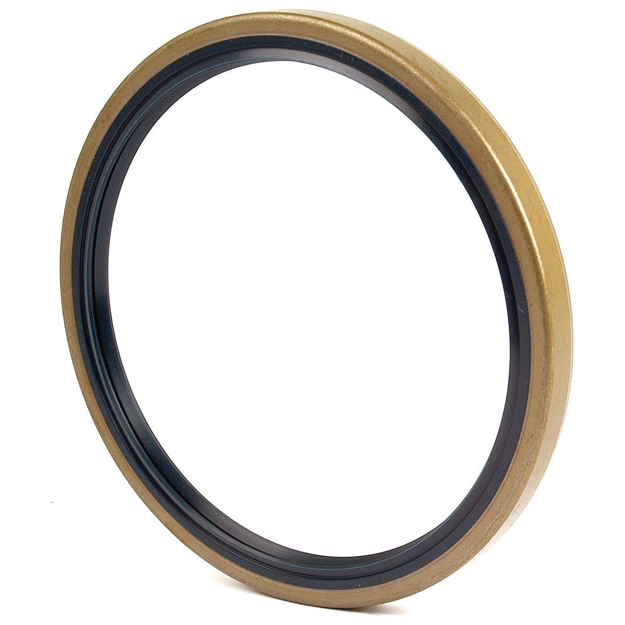 Sparex's Metric Rotary Shaft Seal (145 x 170 x 13mm, Part No. S.41606) is a metallic circular sealing ring with a black inner lining, viewed at a slight angle against a plain background. This seal is designed for compatibility with Massey Ferguson tractors.