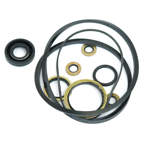 A collection of various sizes of black rubber O-rings and gold-colored metal washers from the Sparex Seal Kit (Early Kidney-Shaped Pump) | Part No. S.41610, arranged on a white background.