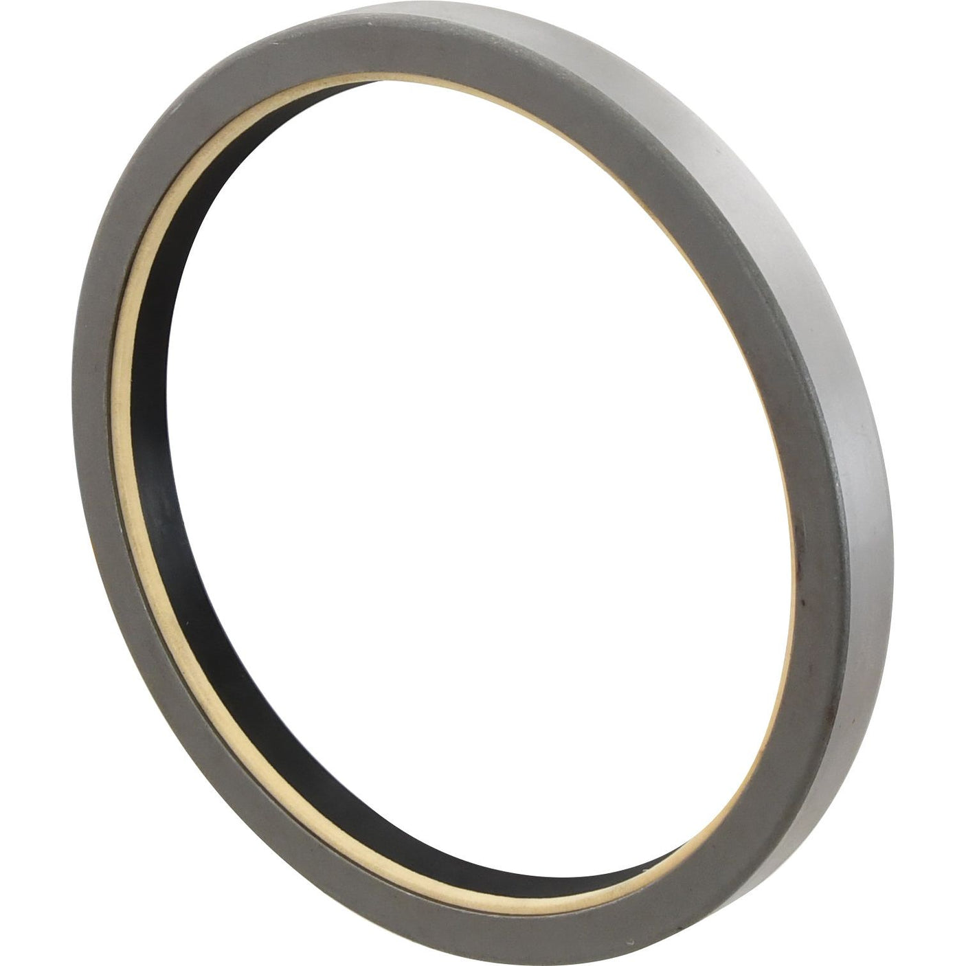 A circular metallic ring with a black inner lining, viewed from an angle, known as a Sparex Metric Rotary Shaft Seal with dimensions of 165 x 190 x 17 mm (Sparex Part No. S.41738).