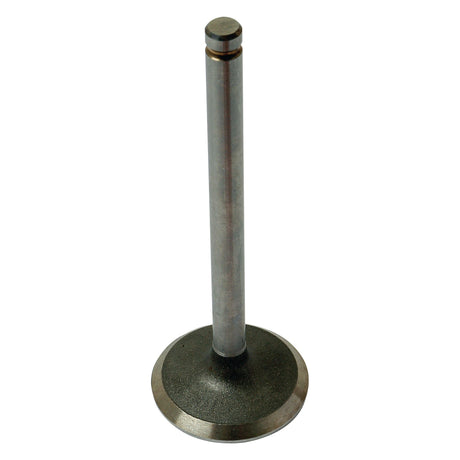 The Sparex Inlet Valve (Part No. S.41747) features a cylindrical stem and a flat, circular head, making it suitable for use in Perkins engines and Massey Ferguson machinery.