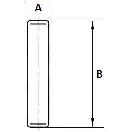 Technical diagram depicting a cylindrical object, potentially housing a Sparex Needle Bearing (56 pcs.) | Sparex Part No.S.41796. The width is labeled "A" and the length is labeled "B," with arrows indicating measurement dimensions.