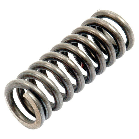 A Plunger Spring - Ø30mm with a cylindrical shape and evenly spaced loops, much like those found in Massey Ferguson machinery, from Sparex (Sparex Part No.S.41974).