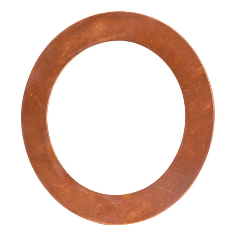 A Sparex thrust washer (Sparex Part No. S.42021) is a circular, flat component made of brown material with a central hole.