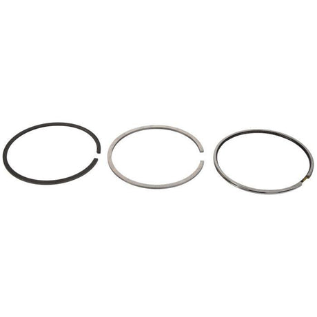 Massey Ferguson - Piston Ring Set - 4222706Z91 - Farming Parts