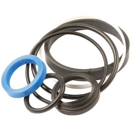 A collection of variously sized sealing rings, featuring black rubber rings, a white ring, and a blue ring, neatly arranged in a pile on a plain background. Perfect for the Sparex Seal Kit | Sparex Part No. S.42296 for Massey Ferguson tractors.