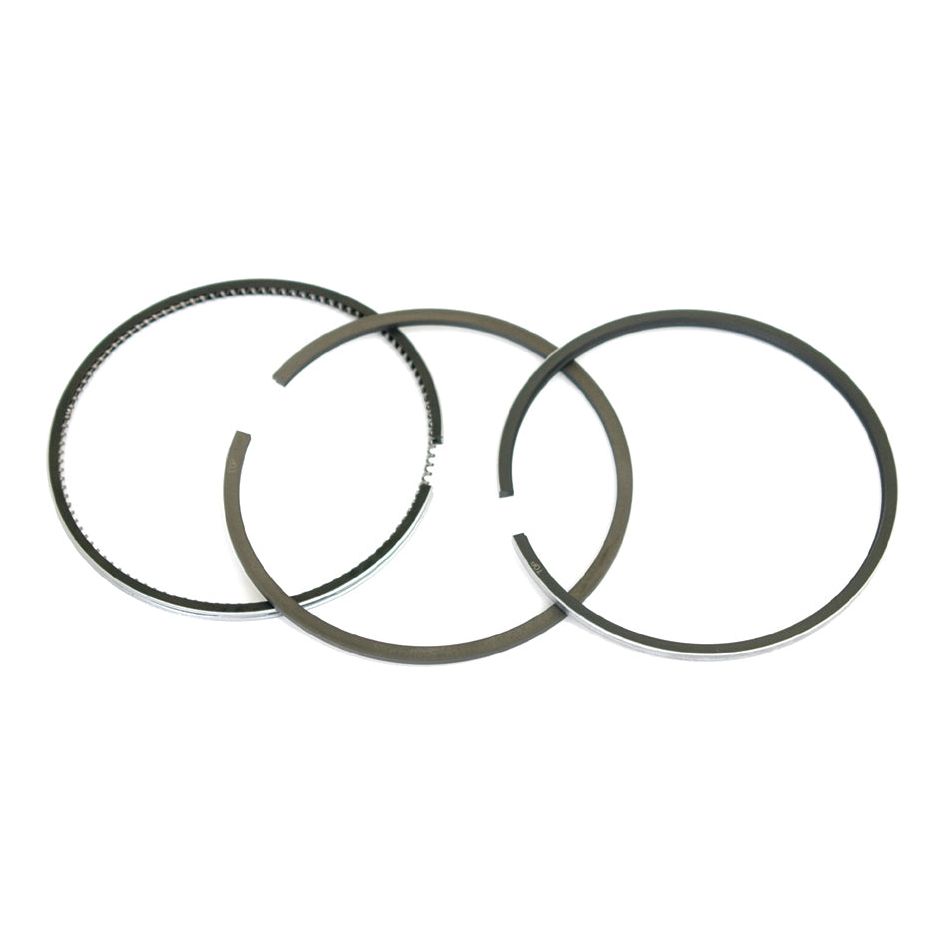 Three metal piston rings from Sparex, specifically the Sparex Part No.S.42437, ideal for a Massey Ferguson petrol engine, are arranged in a circle on a white background.