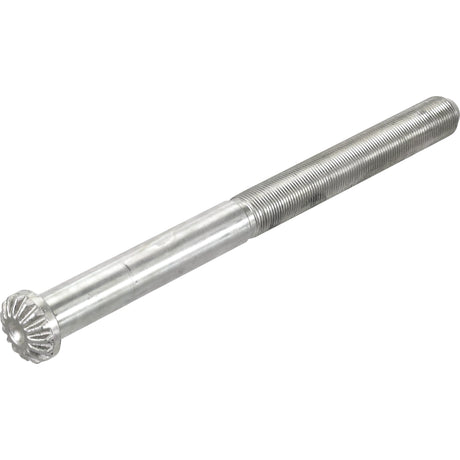 A Levelling Box Shaft - 1 UNC - Splines, featuring a silver metallic finish and gear-like head with a threaded shaft, perfect for Massey Ferguson machinery. This high-quality part is available under Sparex Part No. S.4286 by Sparex.