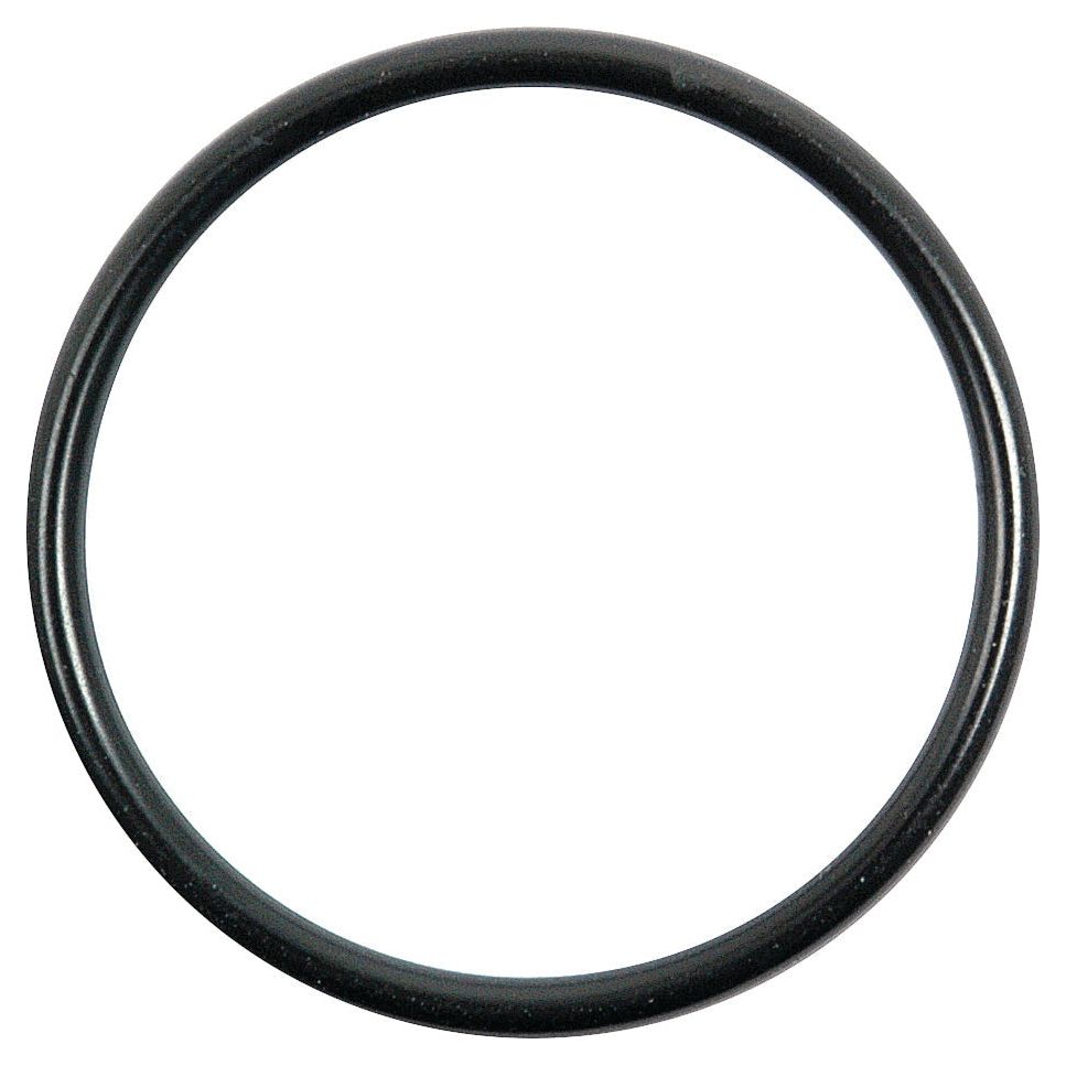 A Sparex O Ring 2.5 x 35mm with Shore Hardness 70, black nitrile rubber, isolated on a white background.