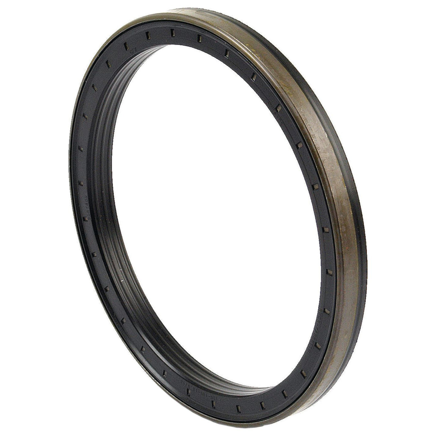 A close-up view of a Sparex Metric Rotary Shaft Seal, 165 x 195 x 17mm (Sparex Part No. S.43099), showcases its black metal circular ring with a smooth outer edge and small, evenly spaced indentations along its rim. This particular piece is often found in machinery like Massey Ferguson tractors.
