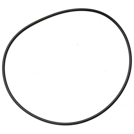 A single black rubber belt on a white background, reminiscent of the robust components used in Massey Ferguson 4WD tractors, akin to the O Ring 1/8'' x -'' (BS258) 70 Shore from Sparex (Part No. S.43338).