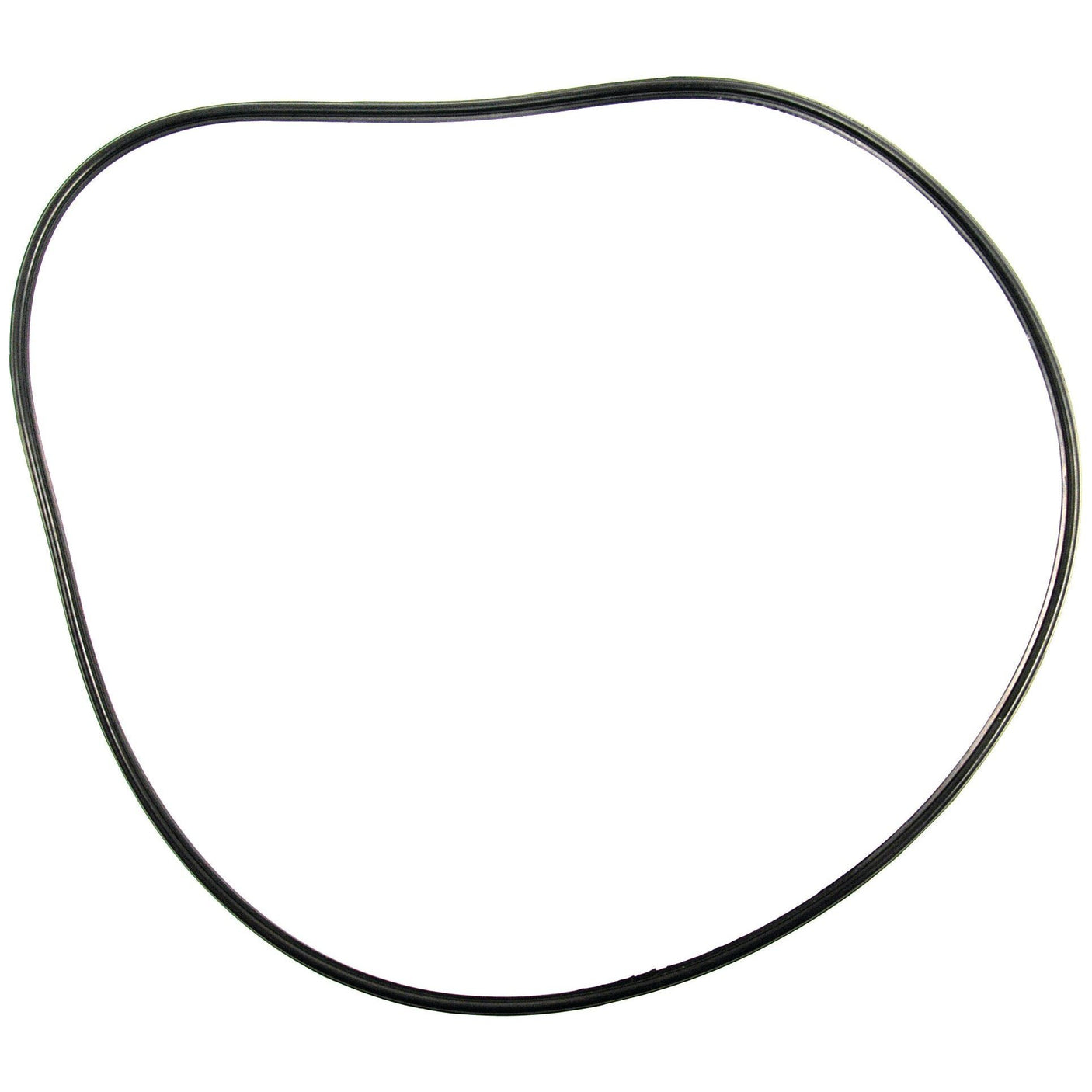 A circular, black rubber band with a slightly uneven shape, reminiscent of the Rear Axle Gasket | Sparex Part No.S.43565 by Sparex, set against a plain white background.