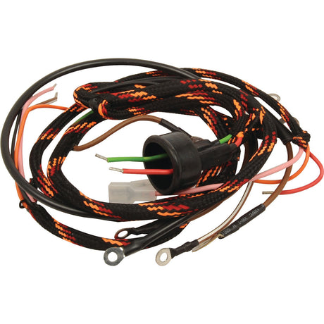 Introducing the Sparex Wiring Harness (Part No.S.43645), a coiled bundle of electrical wiring featuring multiple colored wires, connectors, and ring terminals. The outer sheath is black with distinctive orange and red patterns, specifically designed for Massey Ferguson diesel engines.