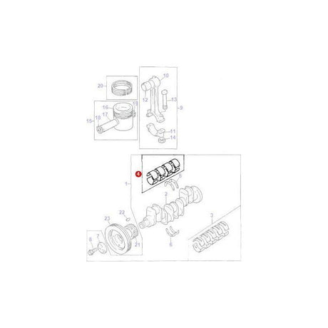 Massey Ferguson - Bearing Kit Conrod - 736950M91 - Farming Parts