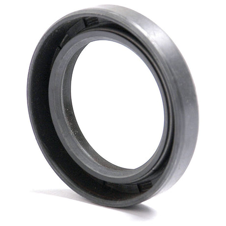 A close-up image of a black circular rubber seal, resembling the Sparex Metric Rotary Shaft Seal, 38 x 55 x 10mm Double Lip (Sparex Part No.S.50304), with a slightly textured inner surface and smooth outer edge. The seal features a Double Lip design typical in Sparex components.
