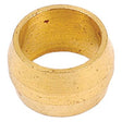 The Brass Fuel Line Olive Ø 5/16'' from Sparex (Part No. S.5143) is a small, cylindrical component featuring a smooth, slightly tapered surface, perfect for a 5/16'' connection.