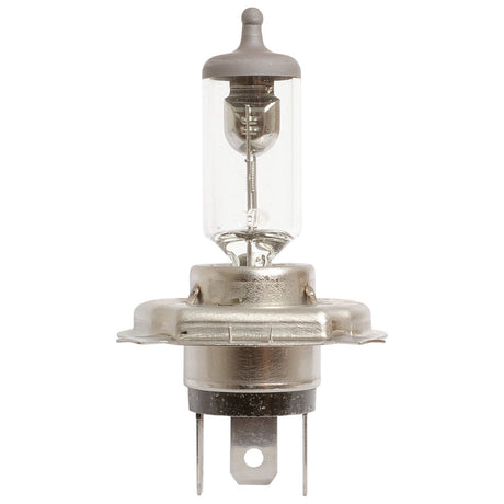 Close-up image of a Sparex Light Bulb (Halogen) H4, 12V, 55W with a P43t metal base and clear glass casing, Sparex Part No. S.53231 (Box 1 pc.).