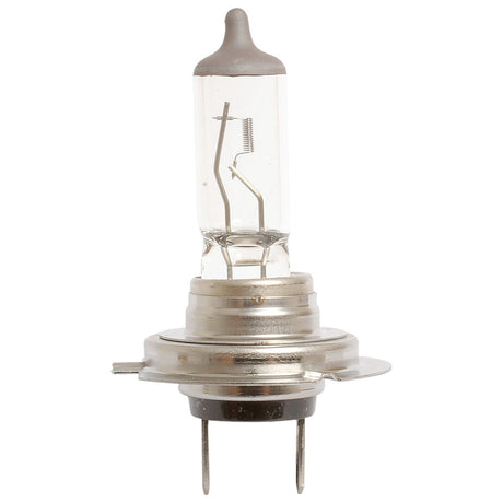 A single Sparex Light Bulb (Halogen) H7 with a PX26d metal base and clear glass housing, featuring 12V 55W for optimal performance; Part No. S.53246.