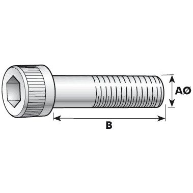 Technical drawing of the Sparex stainless steel hex socket head cap screw, showing length (B) and diameter (AØ) measurements. Socket Capscrew, M6x40mm (DIN 912), Sparex Part No.S.53892.