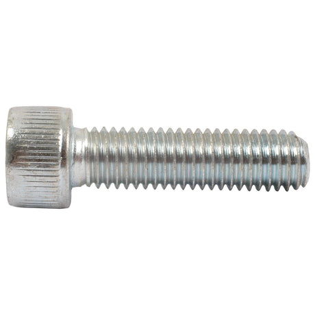 A close-up view of the Sparex Socket Capscrew, M6x40mm (DIN 912), Part No. S.53892, featuring its stainless steel hex socket head and threads running along its length.