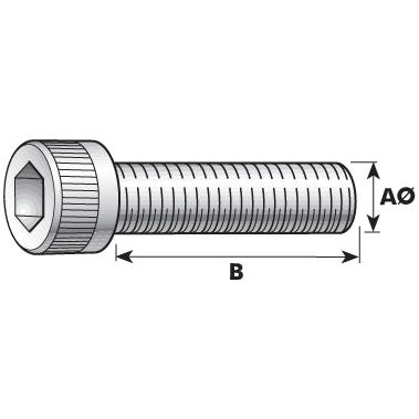 Diagram of a stainless steel hex socket head cap screw with dimensions labeled. This Socket Capscrew, M14x40mm (DIN 912) (Sparex Part No. S.53914) features parameters labeled 'AØ' for the diameter and 'B' for the length.