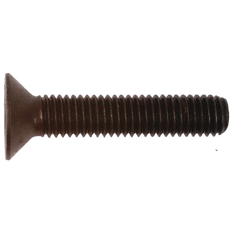 A rusted, flat-head screw with a threaded body and the look of an old Sparex Metric Countersunk Hexagon Socket Screw, M8x50mm (DIN 7991) - Sparex Part No. S.53956 against a plain white background.