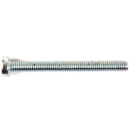 A stainless steel Sparex Metric Cheese Head Machine Screw, M4x40mm (DIN 84), lying horizontally on a white background.