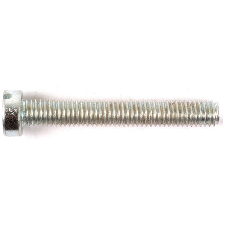 A close-up image of the Sparex Metric Cheese Head Machine Screw, M5x35mm (DIN 84), shown on a white background.