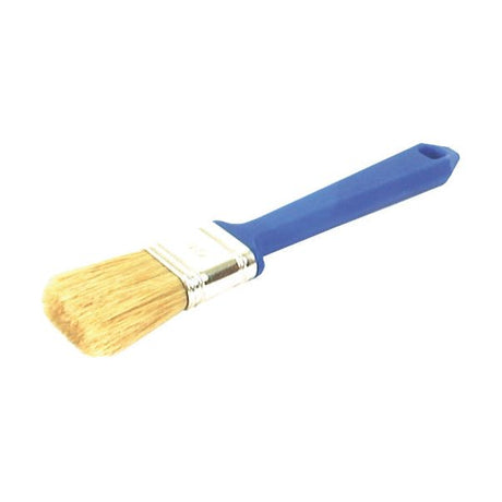 The Sparex Flat Paintbrush - Economy, 50mm (Part No. S.54167) features light bristles, a metal ferrule, and a blue plastic handle, providing reliable performance for your painting needs.