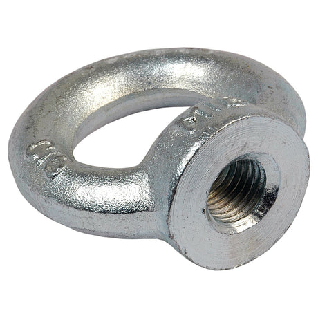 Close-up of the Sparex Metric Eye Nut, M16xØ35mm (DIN 582) with an integrated circular loop, designed for securing cables or attachments. This silver metallic eye bolt ensures reliable performance in various applications and complies with DIN 582 standards. Sparex Part No.S.54780.
