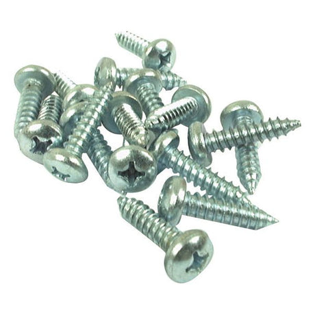 A scattering of Sparex Metric Self Tapping Pozidrive Screws, M2.9x13mm (DIN 7981B), with rounded heads and some facing up while others face down, randomly spread on a white surface.