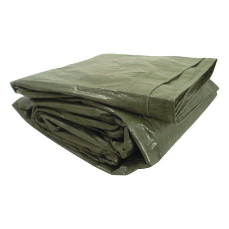 A folded Sparex Tarpaulin (Economy) - 3 x 5M - S.55250 in green, hemmed with eyelets for secure fastening and featuring reinforced corners for extra durability, is shown against a plain white background.