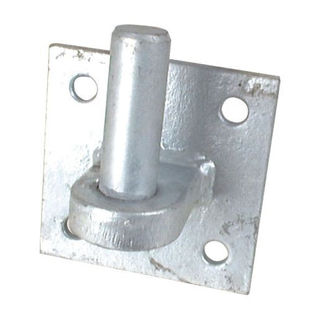 The Sparex Gate Hanger - Bolt on (Sparex Part No. S.55512) is a galvanised hinge with a 19mm diameter cylindrical pin mounted on a 100mm x 100mm square plate featuring four corner holes for screws, making it perfect as a gate hanger.