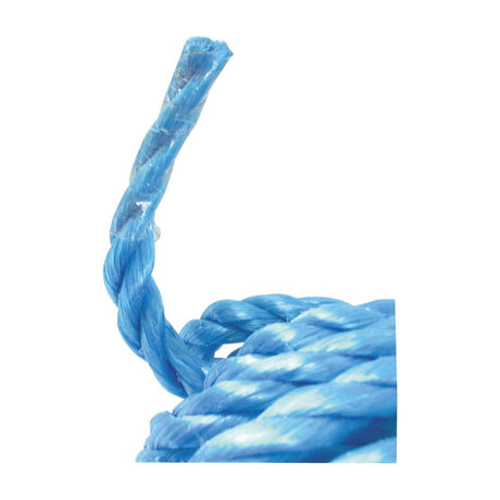 Close-up of the end of a length of thick, blue braided Polypropylene Rope with Eye (Ø10mm, Length: 27m / 88ft) - S.55994 from Sparex, featuring a frayed end against a plain white background. This durable rope boasts an impressive safe working load suitable for various heavy-duty tasks.