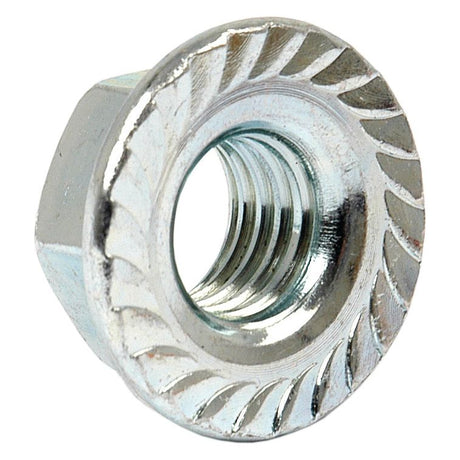 Close-up image of a Metric Serrated Flange Nut, M10x1.50mm (DIN 6923) Metric Coarse | Sparex Part No.S.56826 with internal threading, by Sparex.