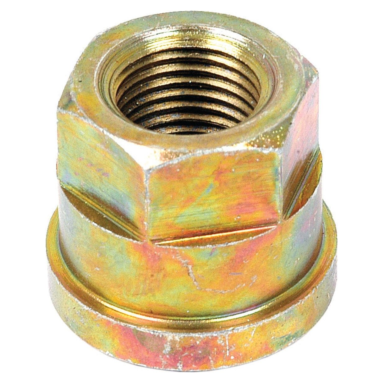 A hexagonal metallic nut with a slightly reflective, multi-colored surface, reminiscent of the finish on a Ford New Holland fuel cap, known as the Brake Rod Nut (Sparex Part No. S.57365) by Sparex.