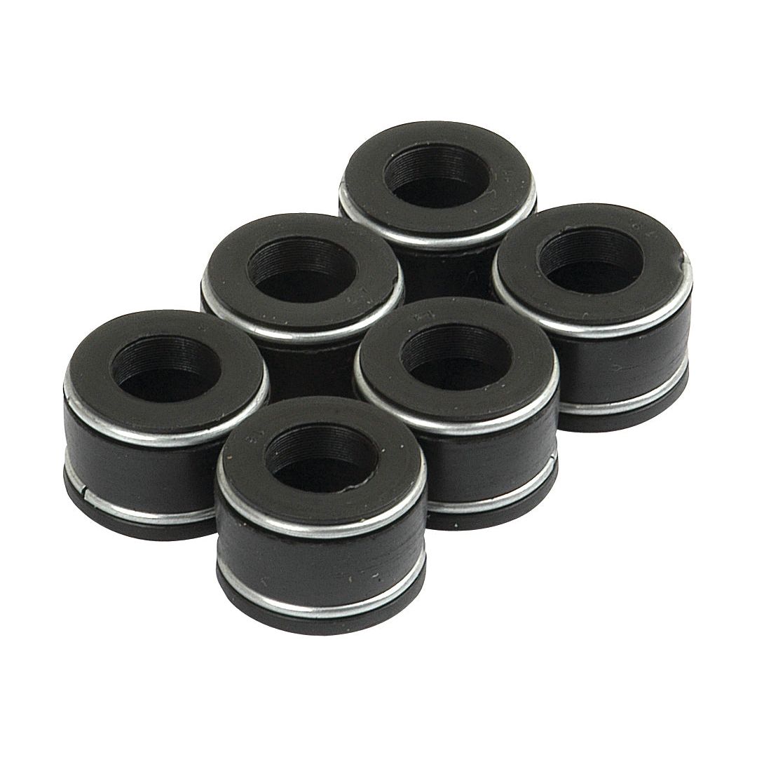 Six black cylindrical bearings arranged in two rows of three, ideal for 3 & 6Cyl. applications, are available in the Valve Stem Seal Kit - S.57615 by Sparex.