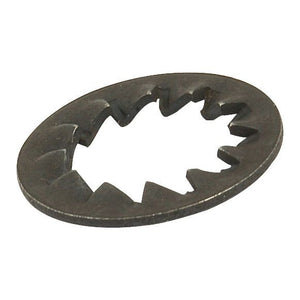 Metric Internal Shakeproof Washer, ID: 22mm
 - S.5835 - Farming Parts