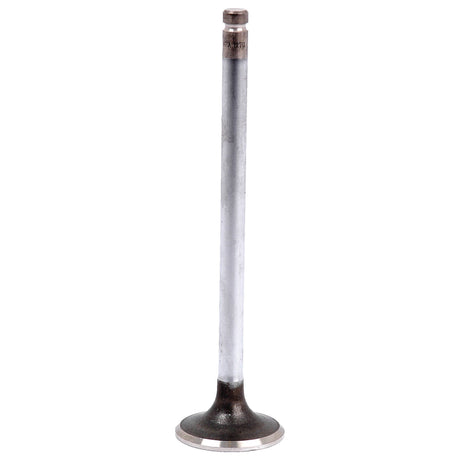 A single exhaust valve featuring a slender metal stem and a wider circular base, branded by Sparex and suitable for Leyland vehicles, available as Sparex Part No. S.58712.
