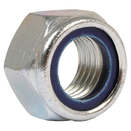 Close-up of the Sparex Metric Self-Locking Nut, size M20x2.50mm (DIN 985) with a blue nylon insert inside the threading. Sparex Part No.S.5898.