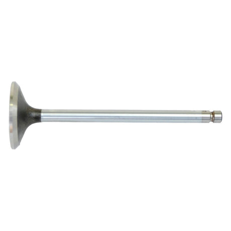 An exhaust valve, identified as the Exhaust Valve Standard (Sparex Part No. S.59547) from the Sparex brand, is depicted against a plain white background, showcasing the valve head on the left and the stem extending towards the right.