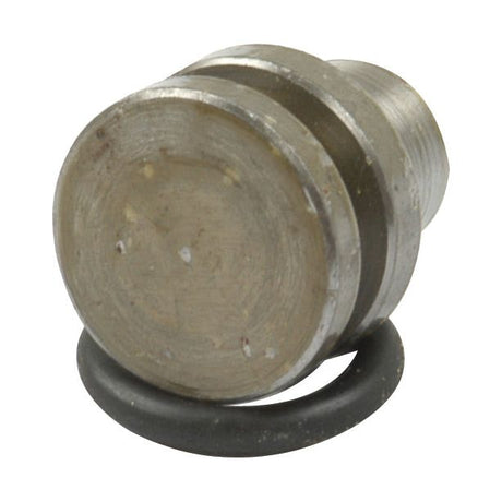 A close-up image of a hydraulic lift plug consisting of a metal bolt with a circular head and grooves, accompanied by a black rubber O-ring placed near its base, identified as the Hydraulic Lift Plug | Sparex Part No. S.60256 from the brand Sparex, commonly found in Massey Ferguson equipment.