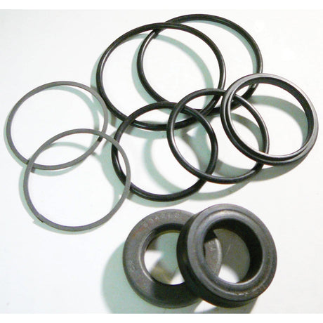 A collection of black rubber seals and gaskets on a white background, including circular rings and rectangular shapes, ideal for use in the Sparex Power Steering Cylinder Seal Kit (Sparex Part No. S.61899).