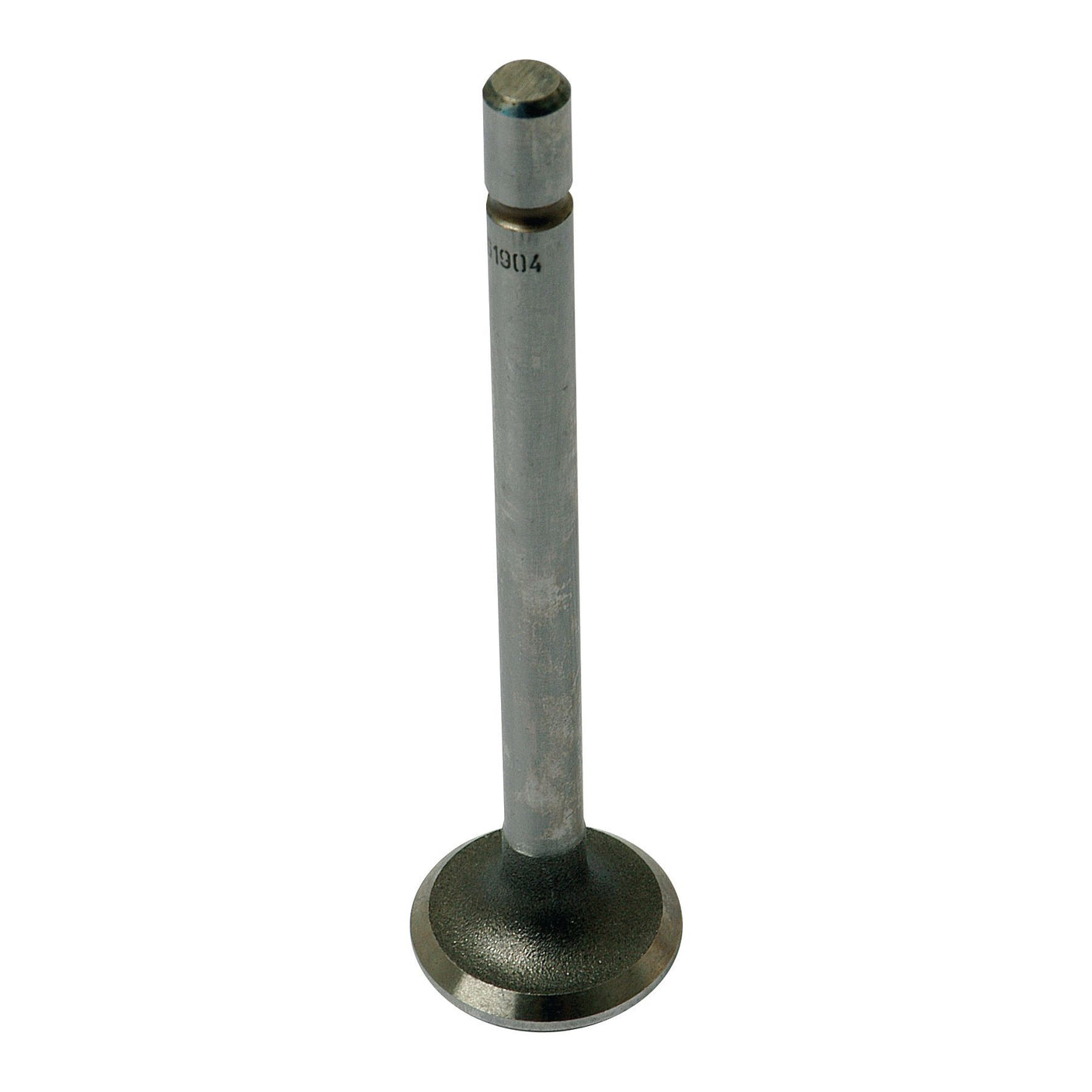 The Sparex Exhaust Valve (Part No. S.61904) features a cylindrical stem and a round, flat head, standing upright against a plain white background, highlighting its precision engineered for Massey Ferguson engines.