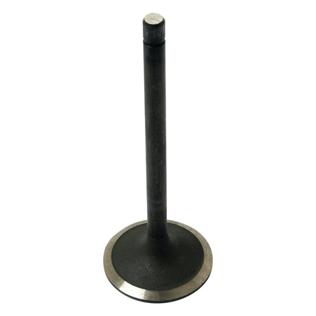 A single black Sparex metal inlet valve, Sparex Part No.S.62057, characterized by a circular base and a flat top. The base is accented with a silver edge, adding an elegant touch reminiscent of Fiat engineering.