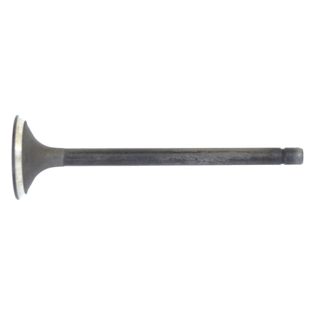 A single exhaust valve, branded by Sparex (Part No. S.62060), featuring a flat circular head and a long, narrow stem.