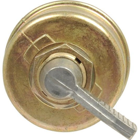 Close-up of a brass door lock cylinder with a silver key inserted into it, reminiscent of the precision you’d expect in a Sparex Ignition Switch (Part No. S.62278).