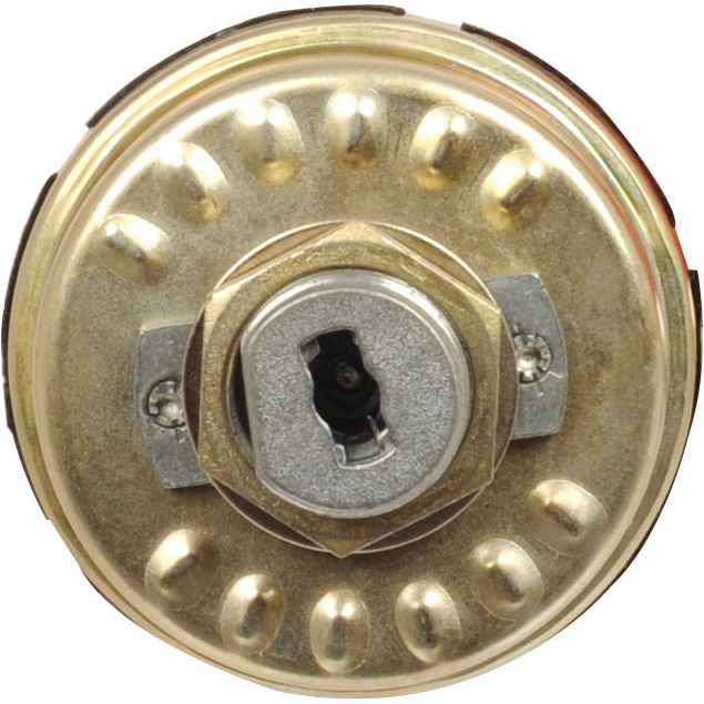 Close-up of a brass deadbolt lock from the interior side, showing the latch mechanism and mounting hardware, reminiscent of the robust design seen in Sparex Ignition Switch Part No. S.62279.