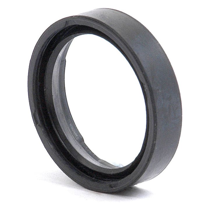 Close-up of the Sparex Oil Seal (Sparex Part No. S.62553) with a black rubber finish, featuring a smooth outer surface and a grooved inner surface, measuring 25 x 31 x 7mm, shown against a white background.