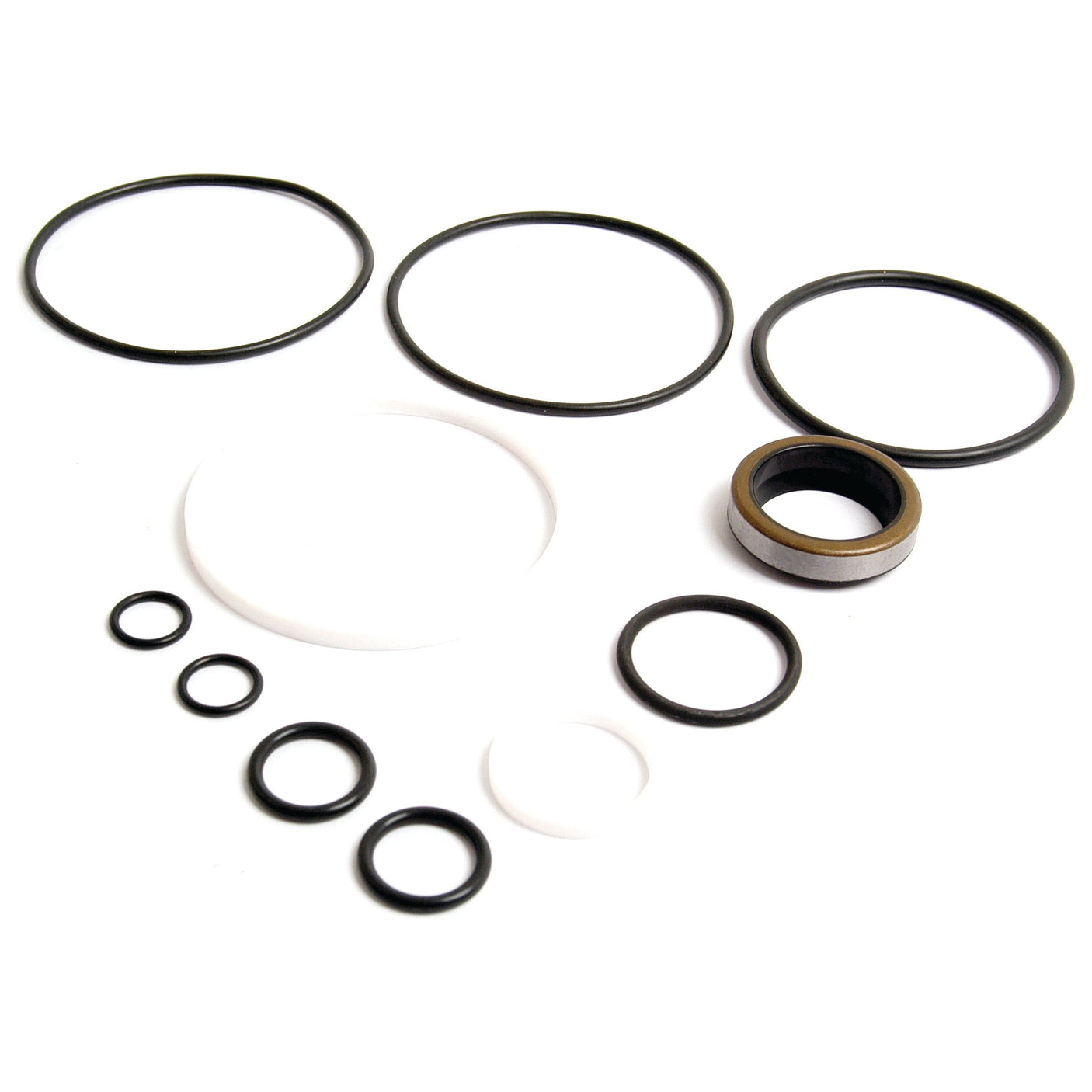 Numerous rubber and plastic O-rings of varying sizes are arranged on a white background. Among them, one ring stands out as a composite type with a metal exterior, sharply reflecting the durable design elements typical of the Seal Kit (ISI Power Steering Cylinder 4WD) by Sparex (Part No. S.62583).