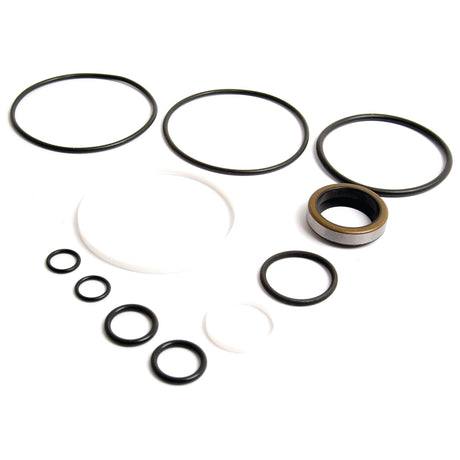 Numerous rubber and plastic O-rings of varying sizes are arranged on a white background. Among them, one ring stands out as a composite type with a metal exterior, sharply reflecting the durable design elements typical of the Seal Kit (ISI Power Steering Cylinder 4WD) by Sparex (Part No. S.62583).